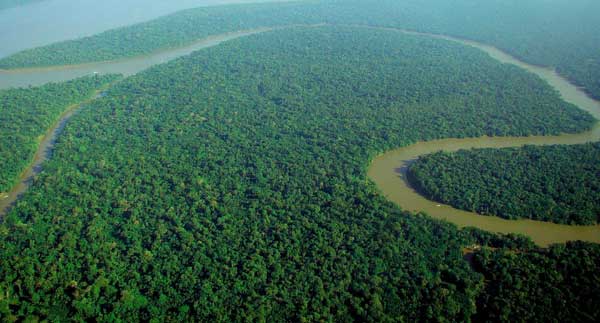 region-of-amazon-rainforest