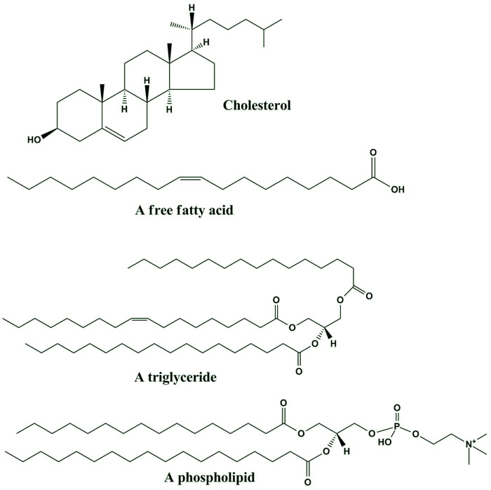 common-lipids