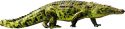 Crocodile