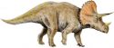 triceratops